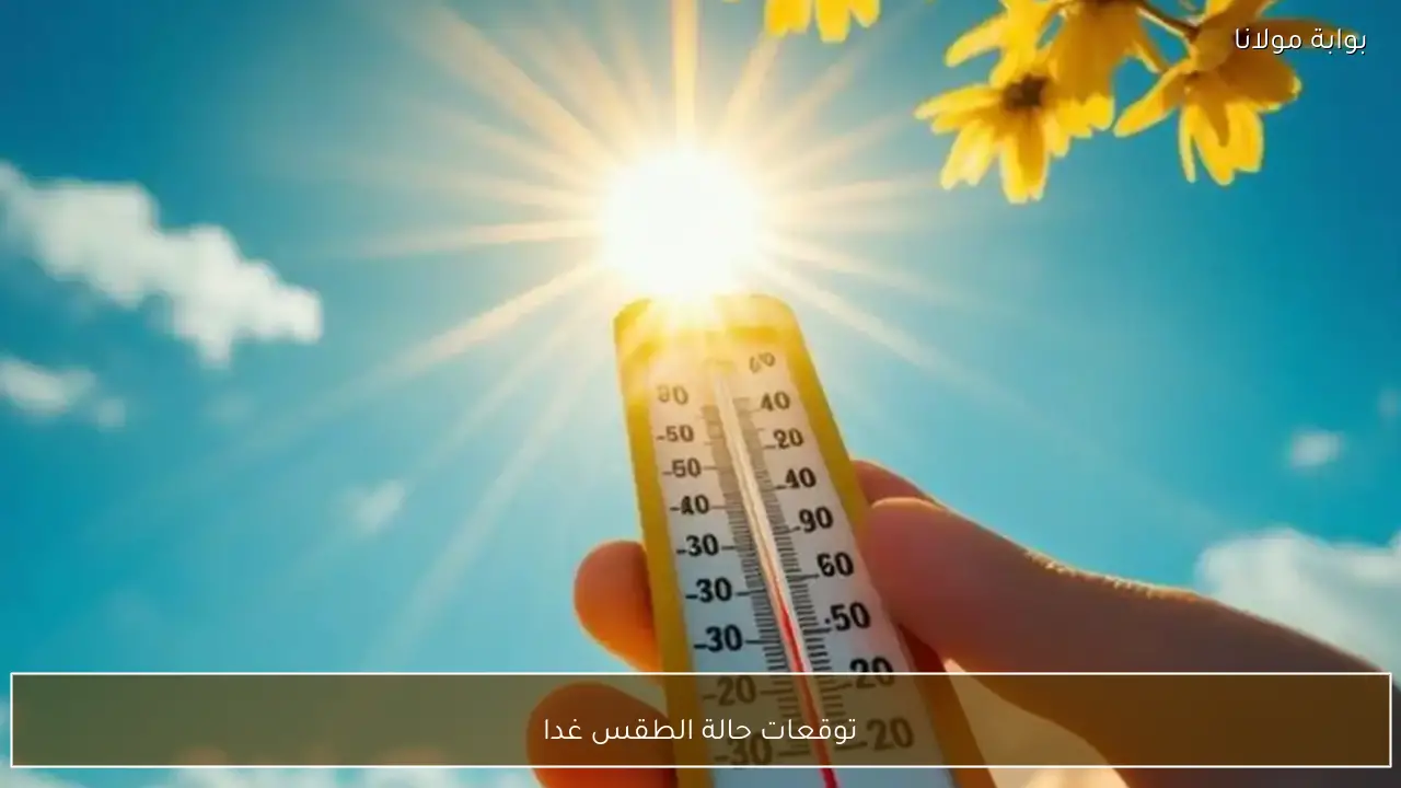 توقعات حالة الطقس غدا .. شبورة صباحية وفرص ضعيفة لأمطار على القاهرة الكبرى