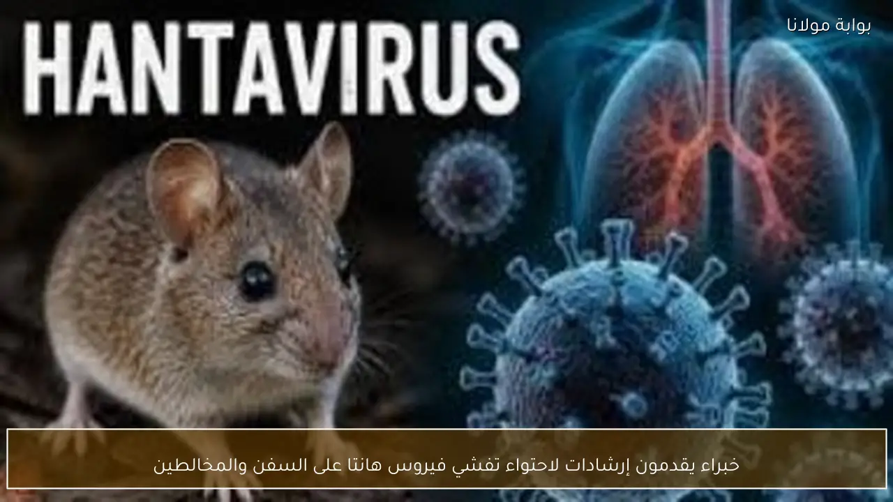 خبراء يقدمون إرشادات لاحتواء تفشي فيروس هانتا على السفن والمخالطين