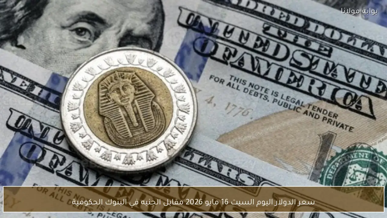 سعر الدولار اليوم السيت 16 مايو 2026 مقابل الجنيه في البنوك الحكومية