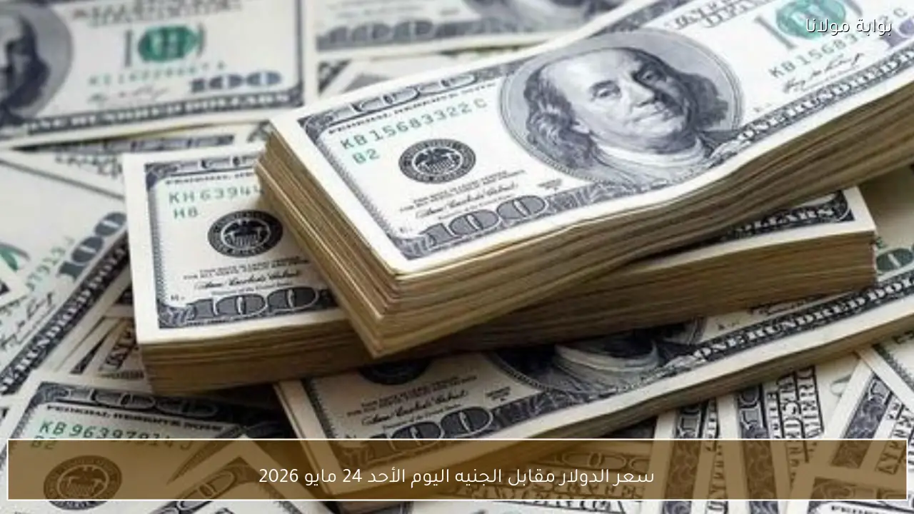 سعر الدولار مقابل الجنيه اليوم الأحد 24 مايو 2026 في البنوك والسوق السوداء