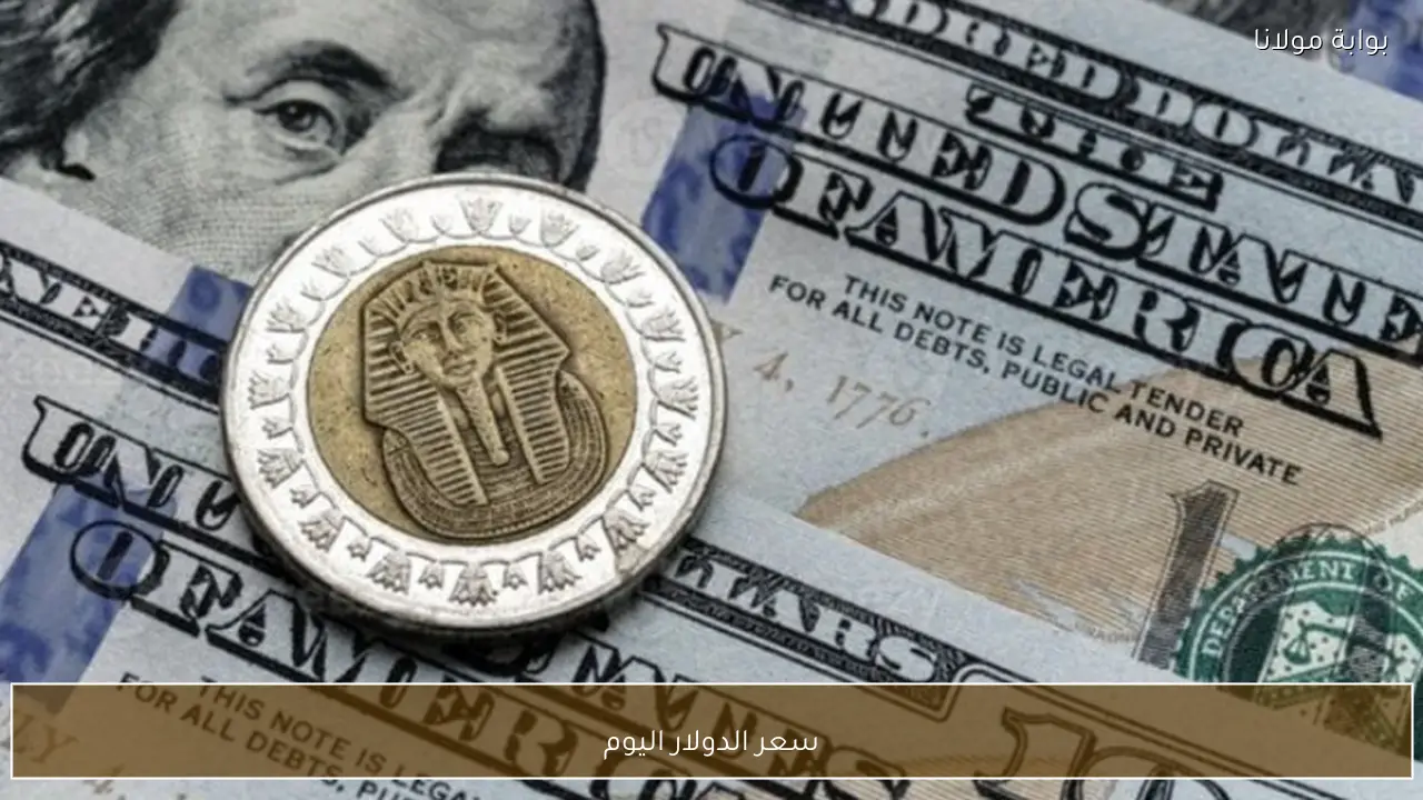 سعر الدولار اليوم السبت 23 مايو 2026 مقابل الجنيه في البنوك المصرية