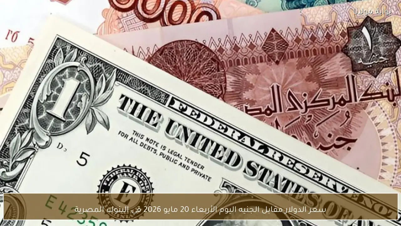 سعر الدولار مقابل الجنيه اليوم الأربعاء 20 مايو 2026 في البنوك المصرية