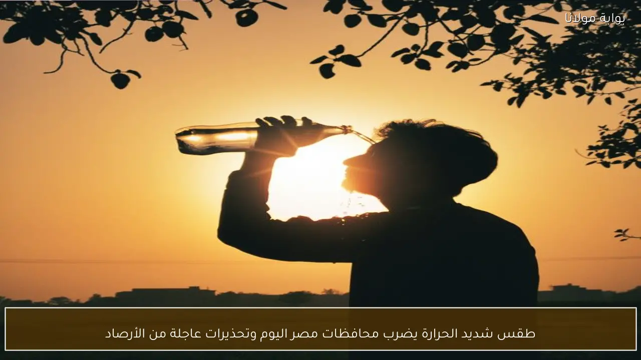 طقس شديد الحرارة يضرب محافظات مصر اليوم وتحذيرات عاجلة من الأرصاد