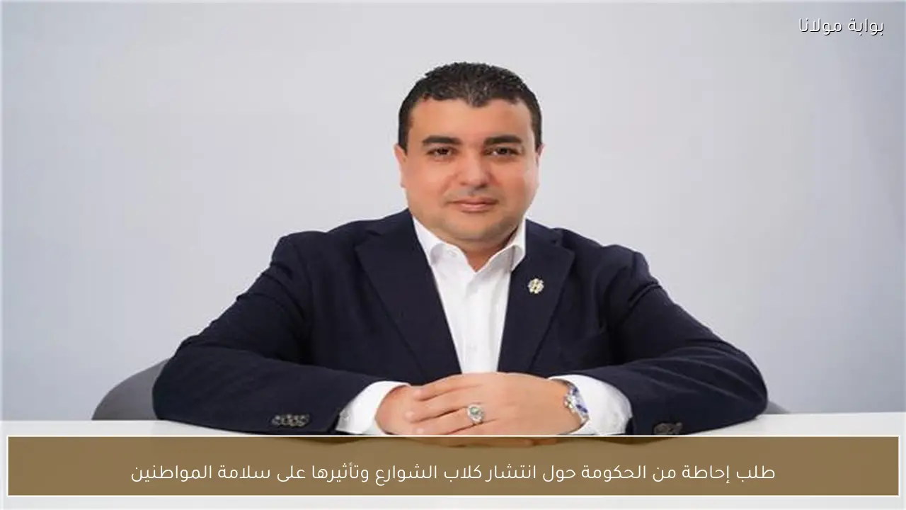 طلب إحاطة من الحكومة حول انتشار كلاب الشوارع وتأثيرها على سلامة المواطنين