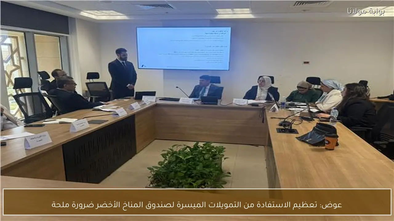 عوض: تعظيم الاستفادة من التمويلات الميسرة لصندوق المناخ الأخضر ضرورة ملحة
