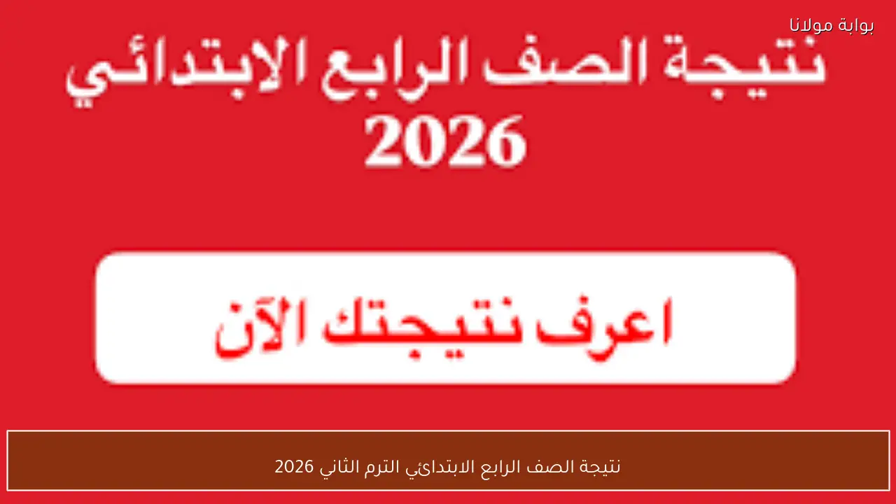 نتيجة الصف الرابع الابتدائي الترم الثاني 2026 بالأسم ورقم الجلوس