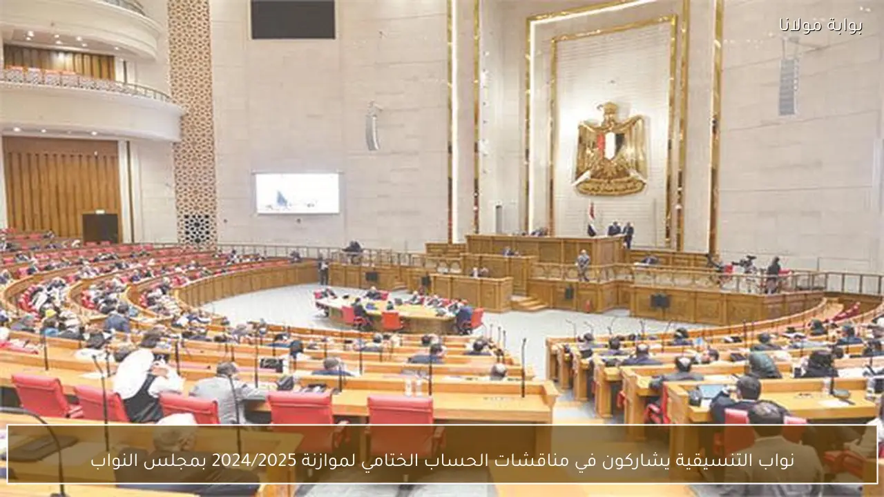 نواب التنسيقية يشاركون في مناقشات الحساب الختامي لموازنة 2024/2025 بمجلس النواب