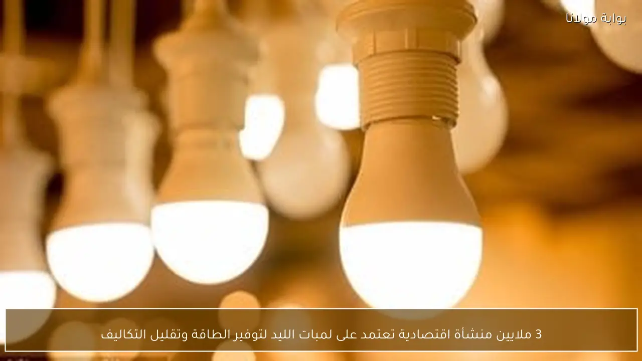 3 ملايين منشأة اقتصادية تعتمد على لمبات الليد لتوفير الطاقة وتقليل التكاليف