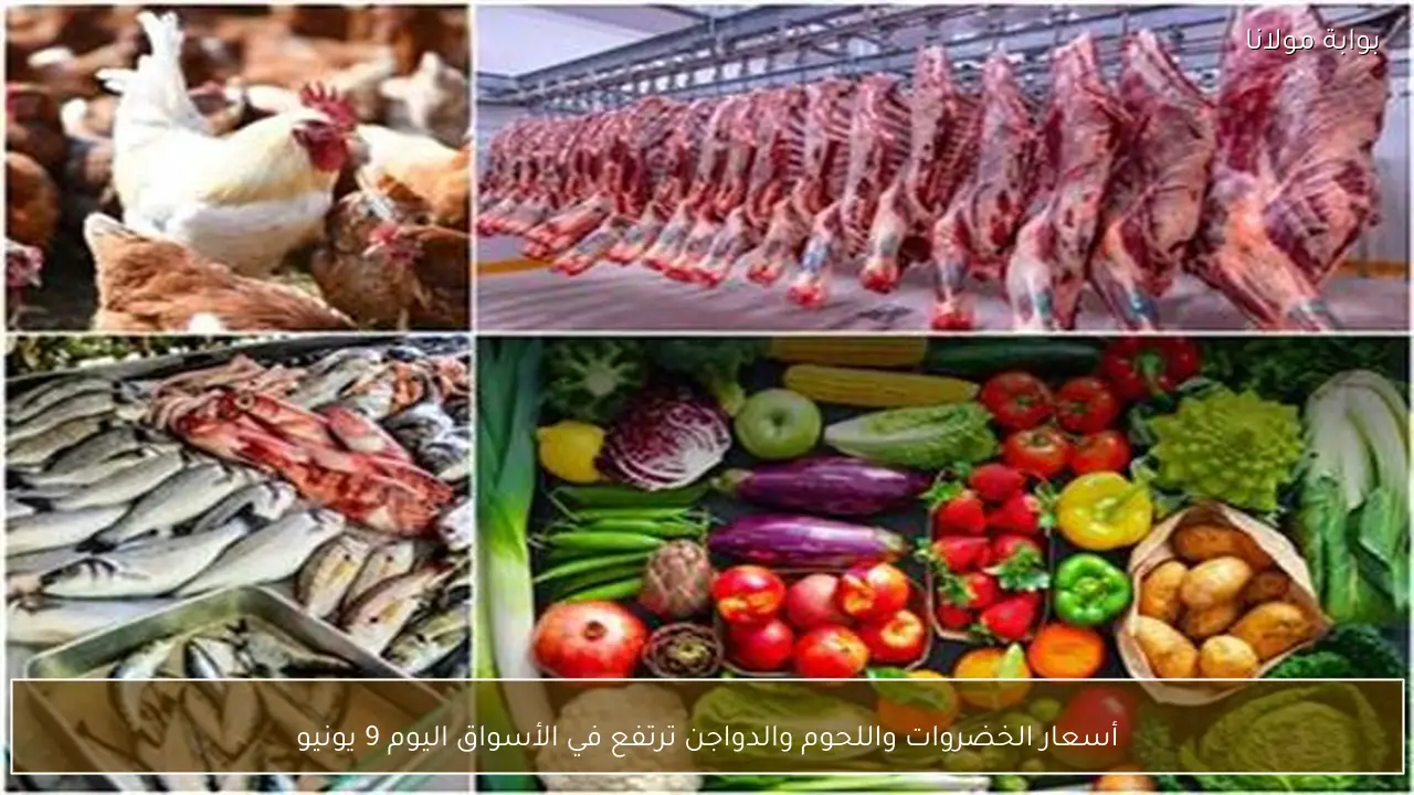أسعار الخضروات واللحوم والدواجن ترتفع في الأسواق اليوم 9 يونيو