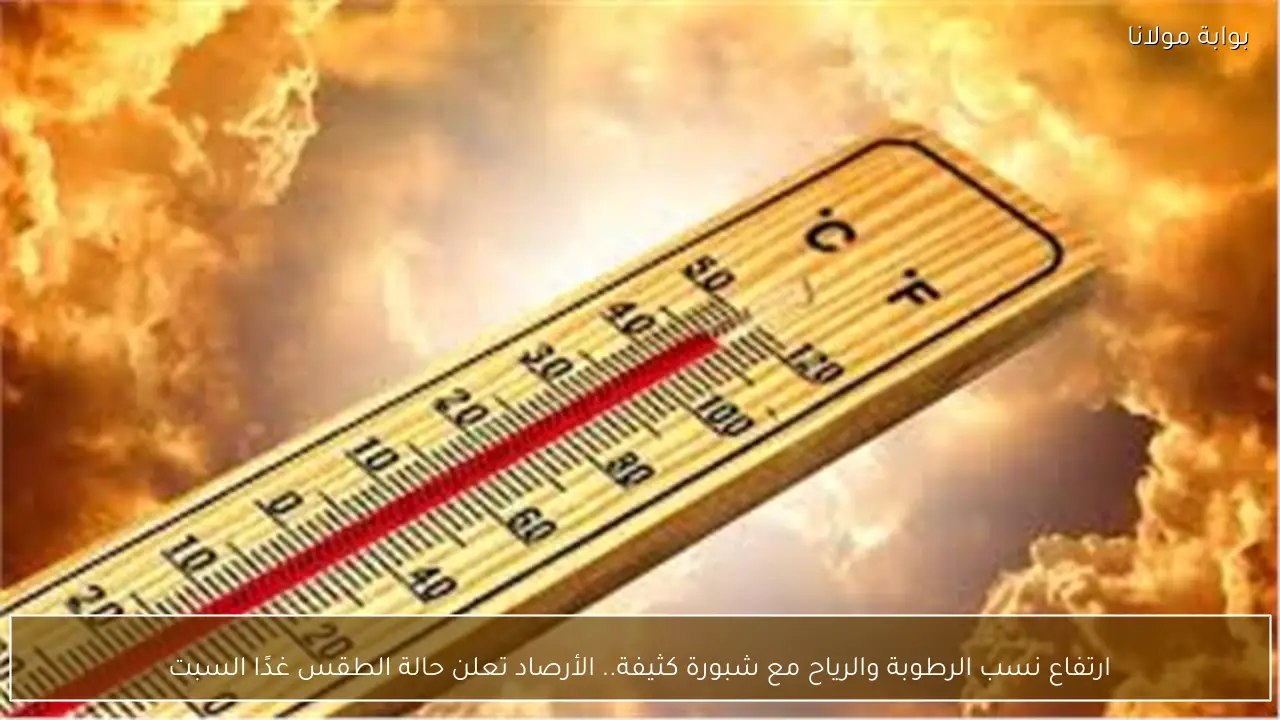 ارتفاع نسب الرطوبة والرياح مع شبورة كثيفة.. الأرصاد تعلن حالة الطقس غدًا السبت