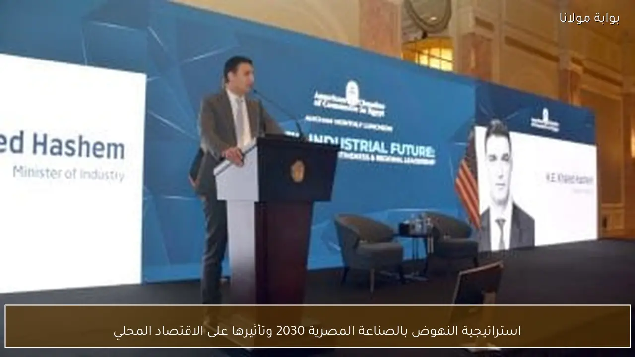 استراتيجية النهوض بالصناعة المصرية 2030 وتأثيرها على الاقتصاد المحلي