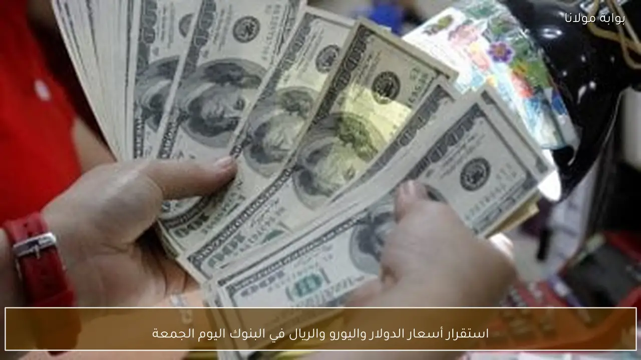 استقرار أسعار الدولار واليورو والريال في البنوك اليوم الجمعة