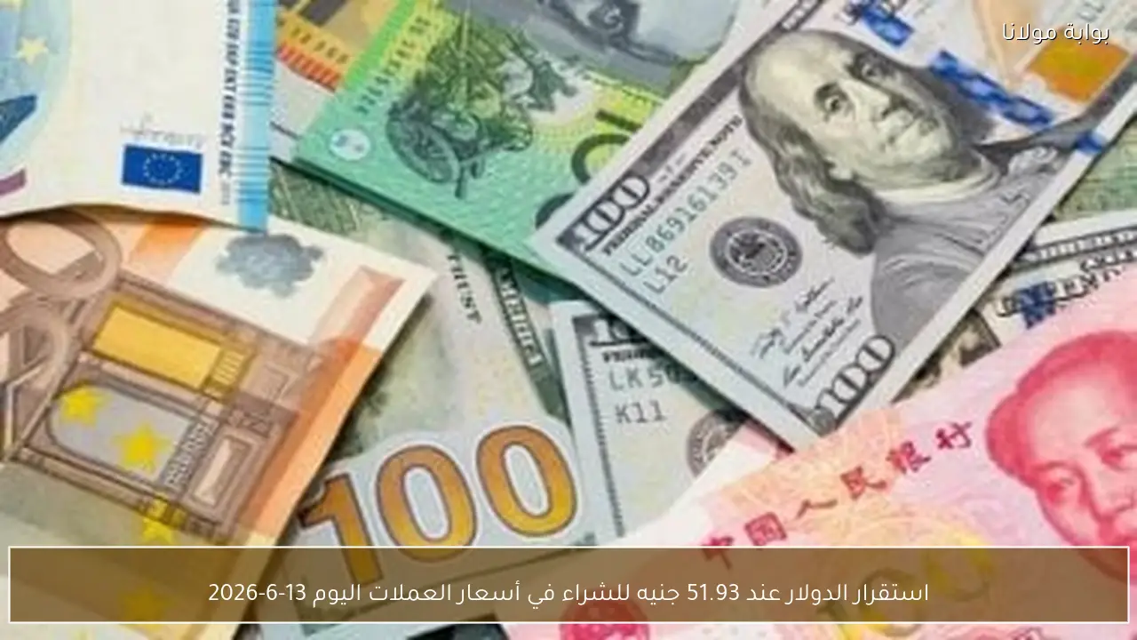 استقرار الدولار عند 51.93 جنيه للشراء في أسعار العملات اليوم 13-6-2026