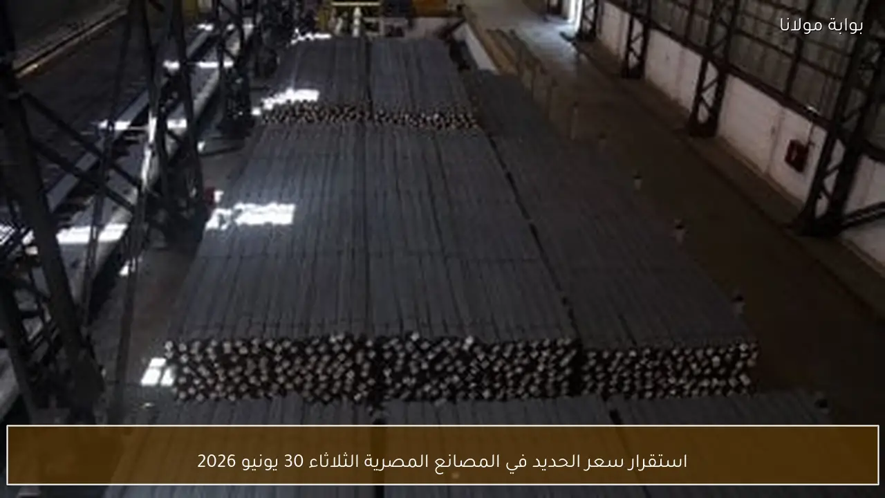استقرار سعر الحديد في المصانع المصرية الثلاثاء 30 يونيو 2026