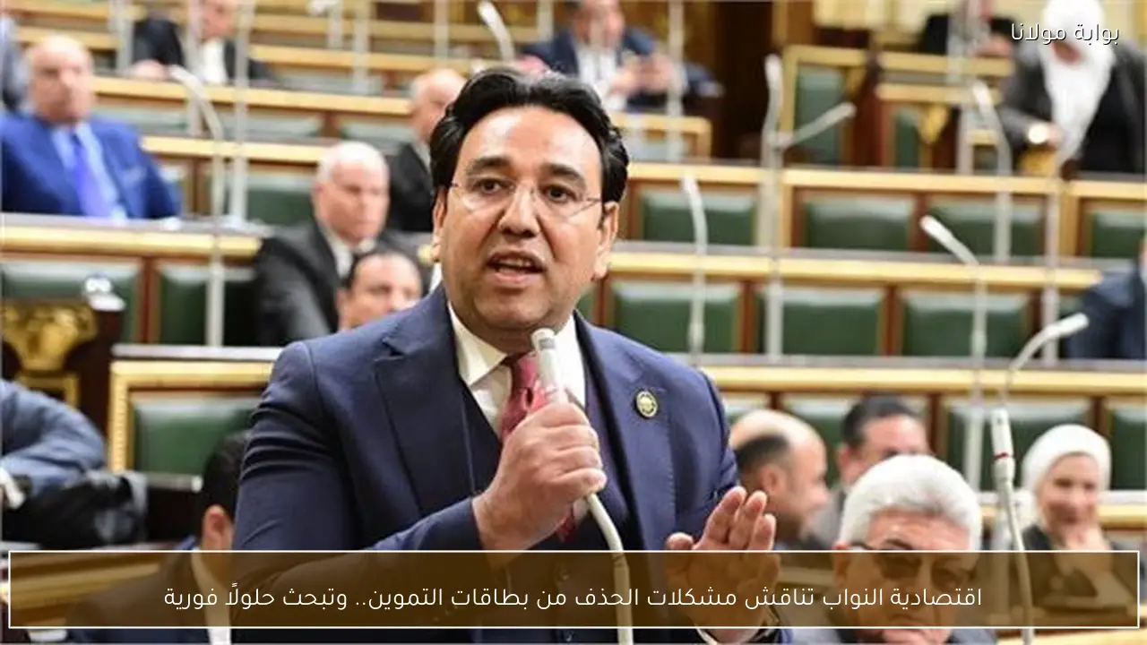 اقتصادية النواب تناقش مشكلات الحذف من بطاقات التموين.. وتبحث حلولًا فورية