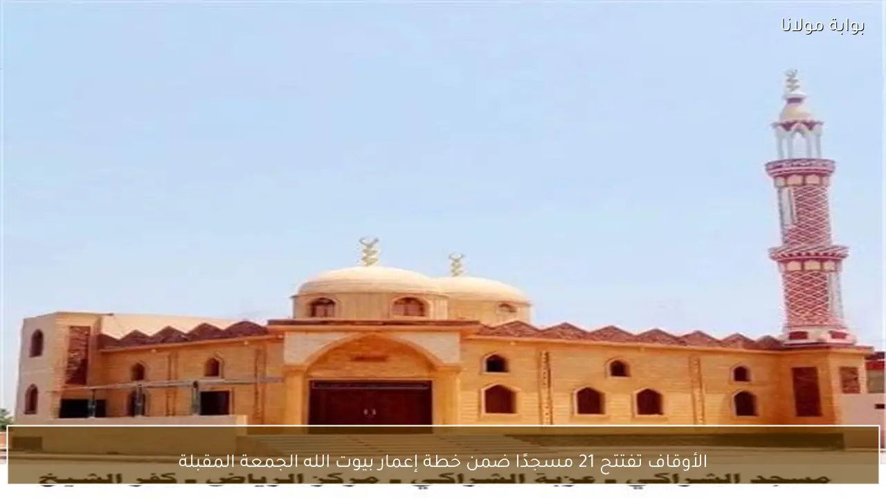 الأوقاف تفتتح 21 مسجدًا ضمن خطة إعمار بيوت الله الجمعة المقبلة
