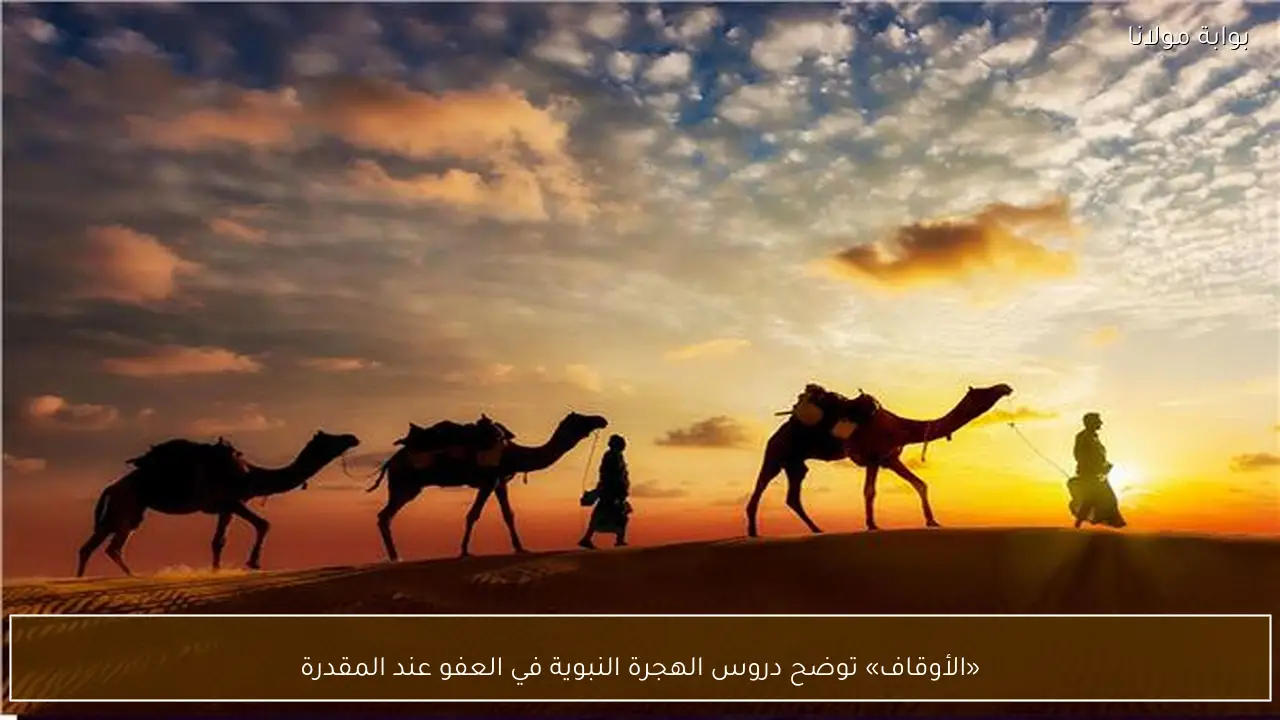 «الأوقاف» توضح دروس الهجرة النبوية في العفو عند المقدرة