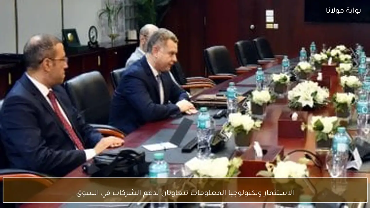الاستثمار وتكنولوجيا المعلومات تتعاونان لدعم الشركات في السوق