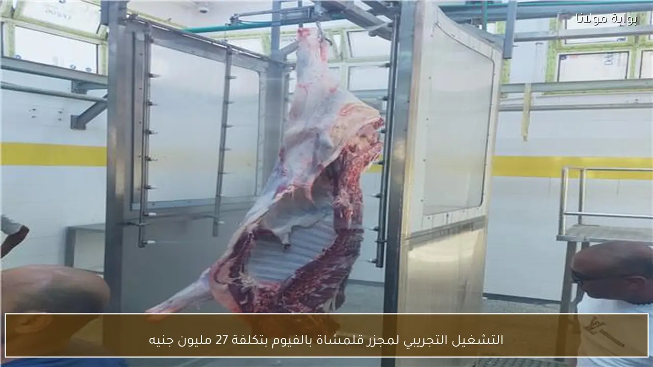 التشغيل التجريبي لمجزر قلمشاة بالفيوم بتكلفة 27 مليون جنيه