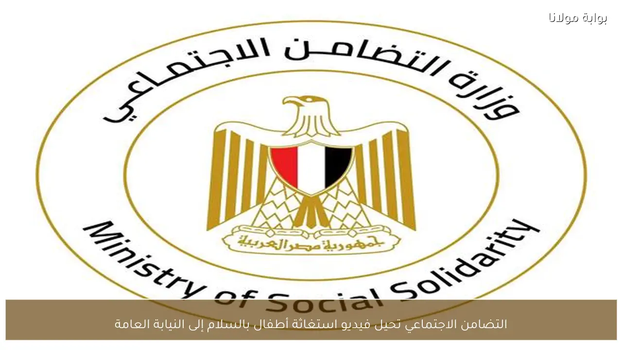 التضامن الاجتماعي تحيل فيديو استغاثة أطفال بالسلام إلى النيابة العامة
