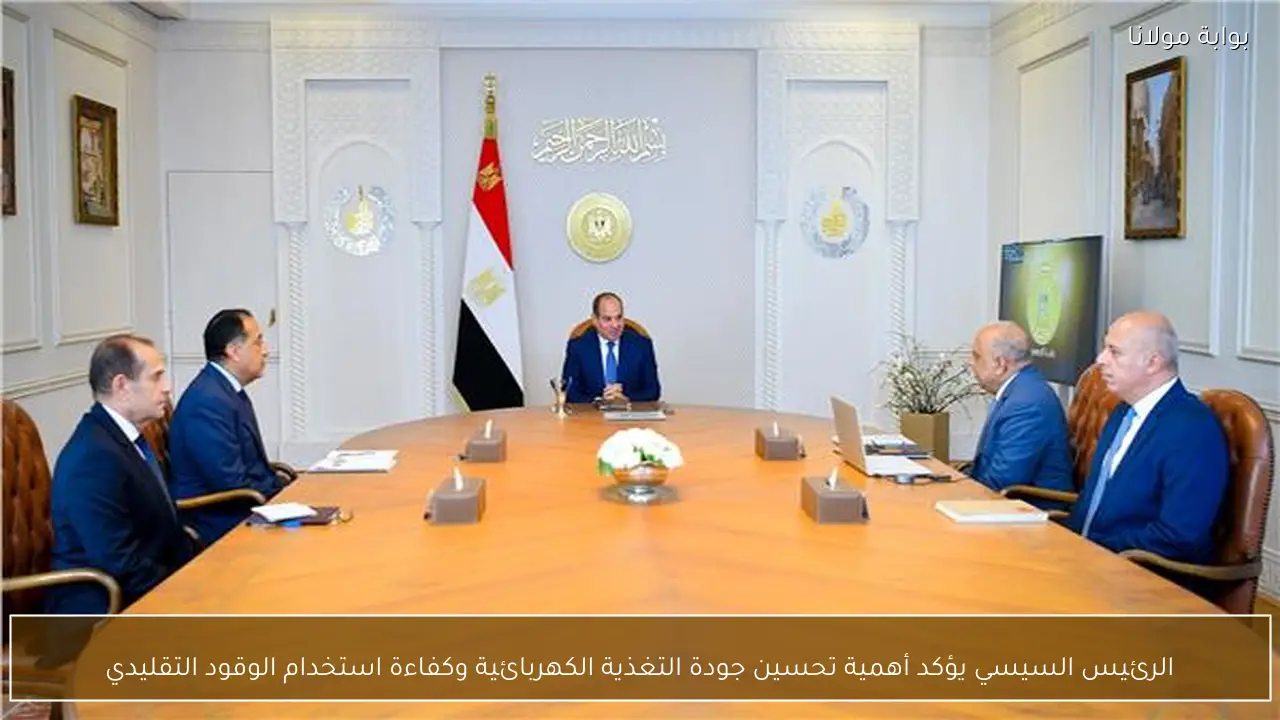 الرئيس السيسي يؤكد أهمية تحسين جودة التغذية الكهربائية وكفاءة استخدام الوقود التقليدي