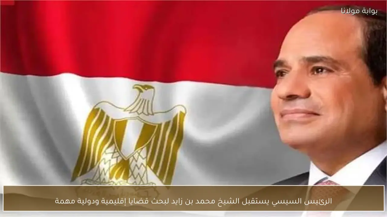 الرئيس السيسي يستقبل الشيخ محمد بن زايد لبحث قضايا إقليمية ودولية مهمة