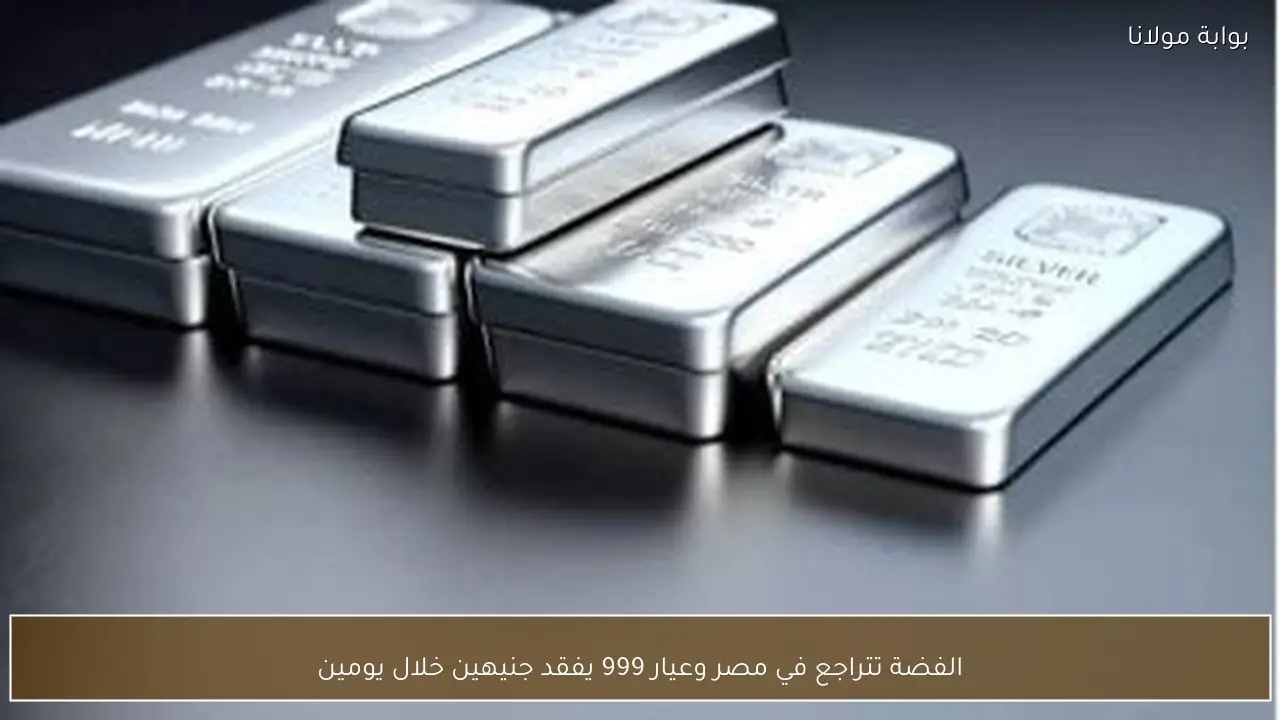 الفضة تتراجع في مصر وعيار 999 يفقد جنيهين خلال يومين