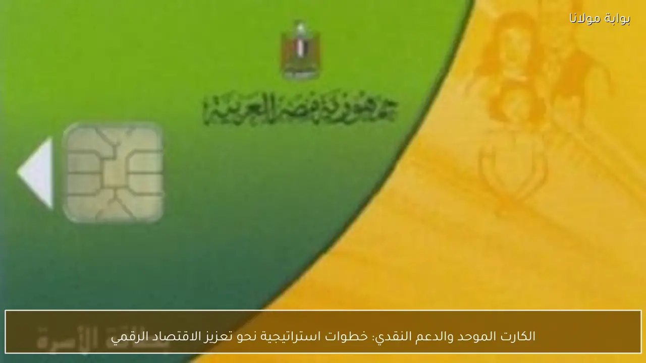 الكارت الموحد والدعم النقدي: خطوات استراتيجية نحو تعزيز الاقتصاد الرقمي