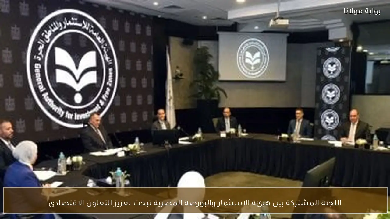 اللجنة المشتركة بين هيئة الاستثمار والبورصة المصرية تبحث تعزيز التعاون الاقتصادي