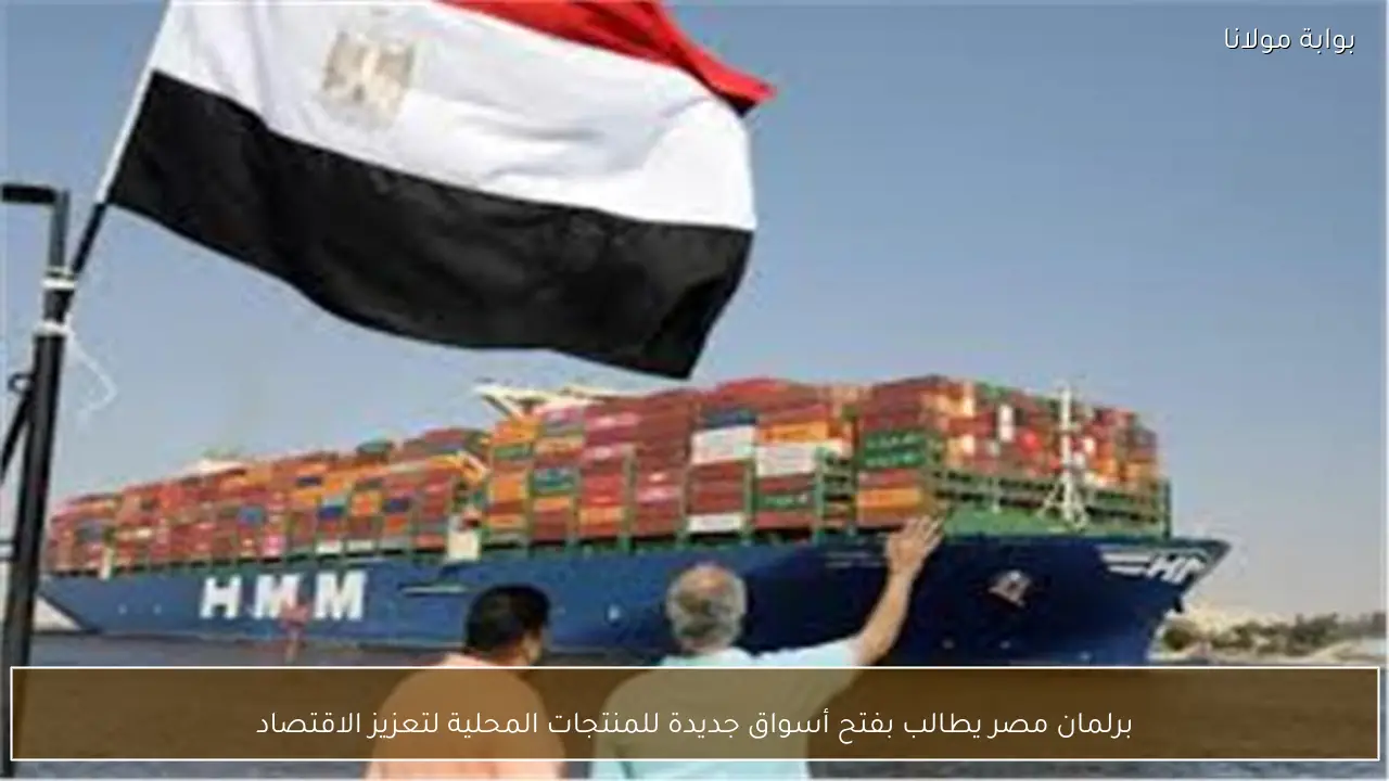 برلمان مصر يطالب بفتح أسواق جديدة للمنتجات المحلية لتعزيز الاقتصاد