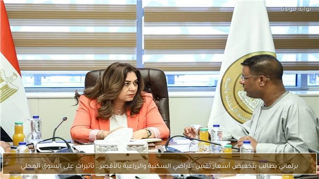 برلماني يطالب بتخفيض أسعار تقنين الأراضي السكنية والزراعية بالأقصر.. تأثيرات على السوق المحلي