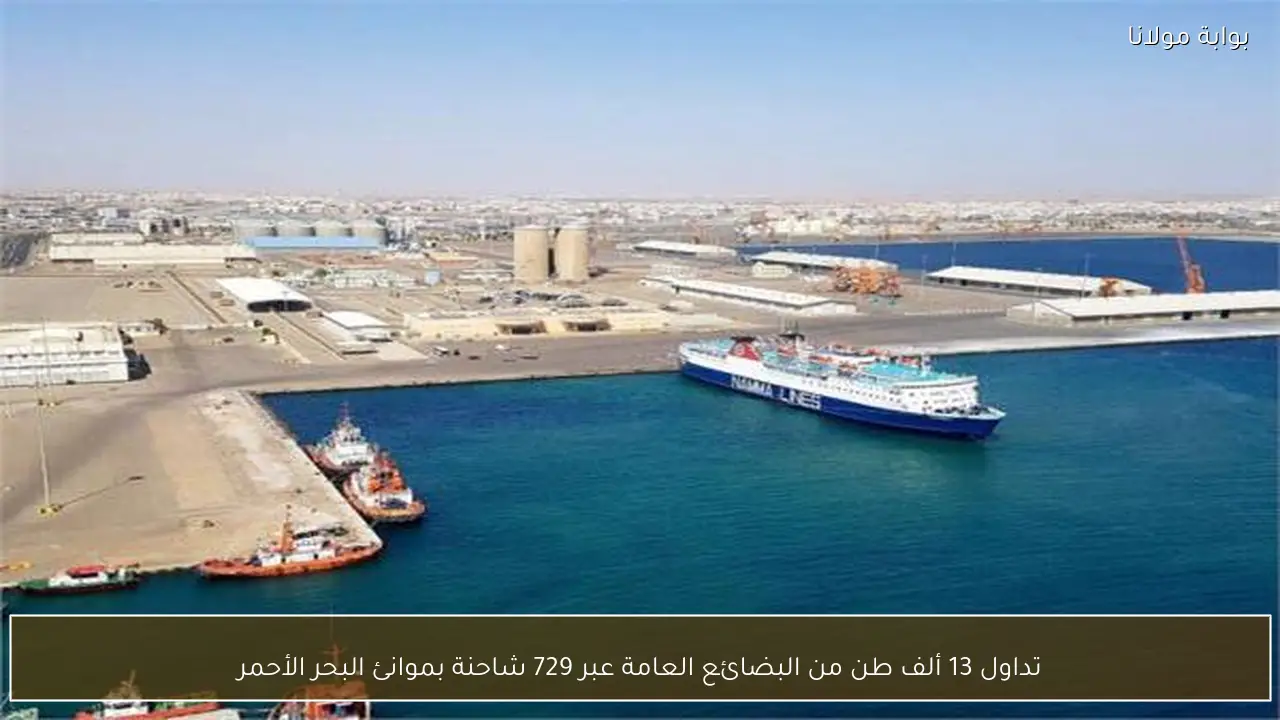 تداول 13 ألف طن من البضائع العامة عبر 729 شاحنة بموانئ البحر الأحمر