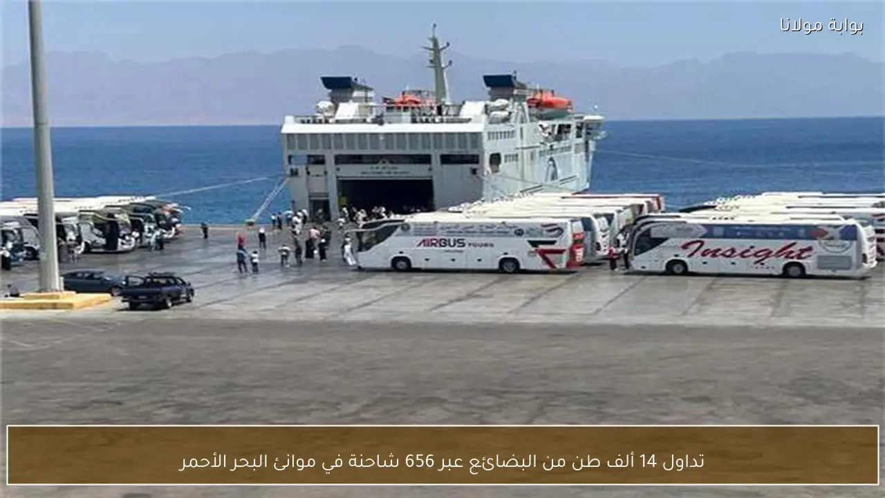 تداول 14 ألف طن من البضائع عبر 656 شاحنة في موانئ البحر الأحمر