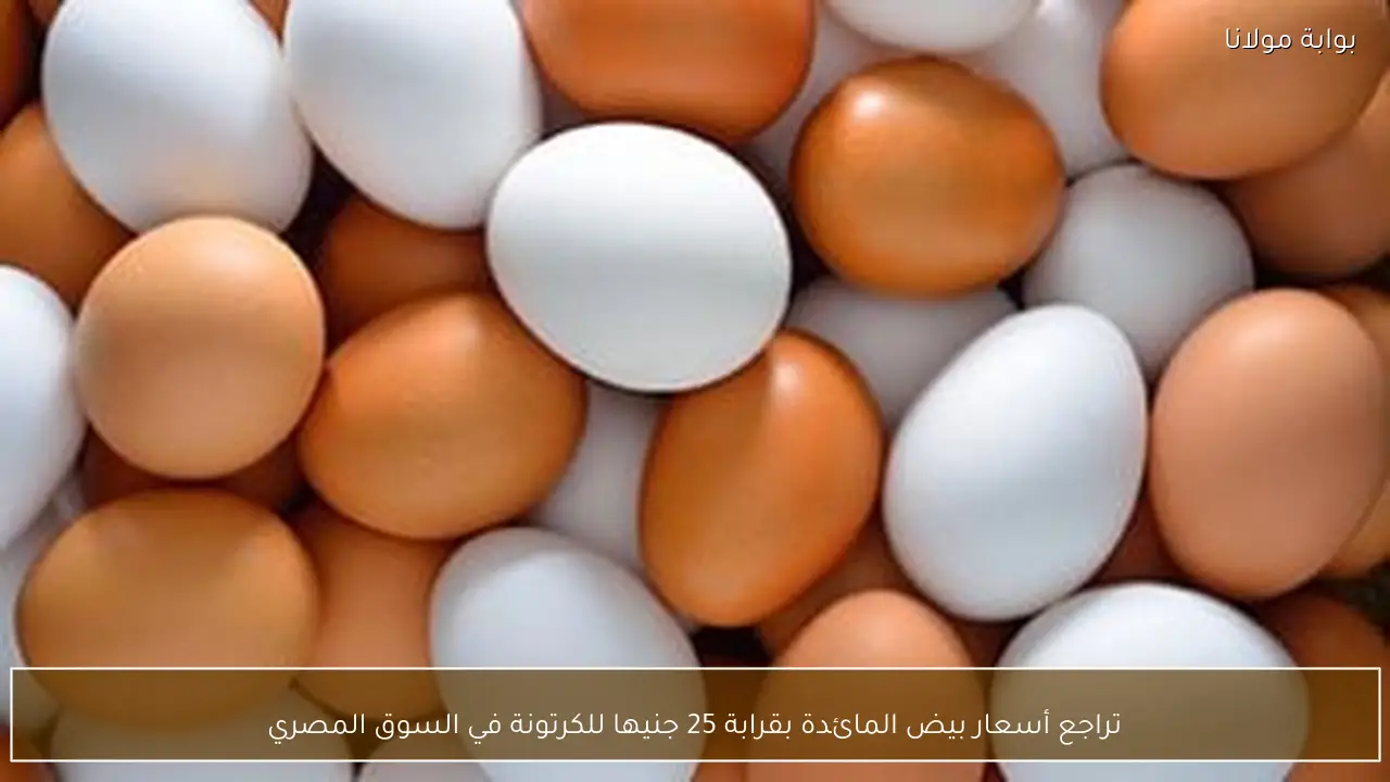 تراجع أسعار بيض المائدة بقرابة 25 جنيها للكرتونة في السوق المصري