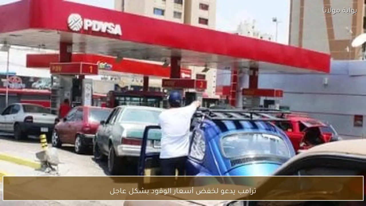 ترامب يدعو لخفض أسعار الوقود بشكل عاجل