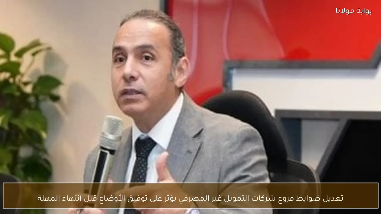 تعديل ضوابط فروع شركات التمويل غير المصرفي يؤثر على توفيق الأوضاع قبل انتهاء المهلة
