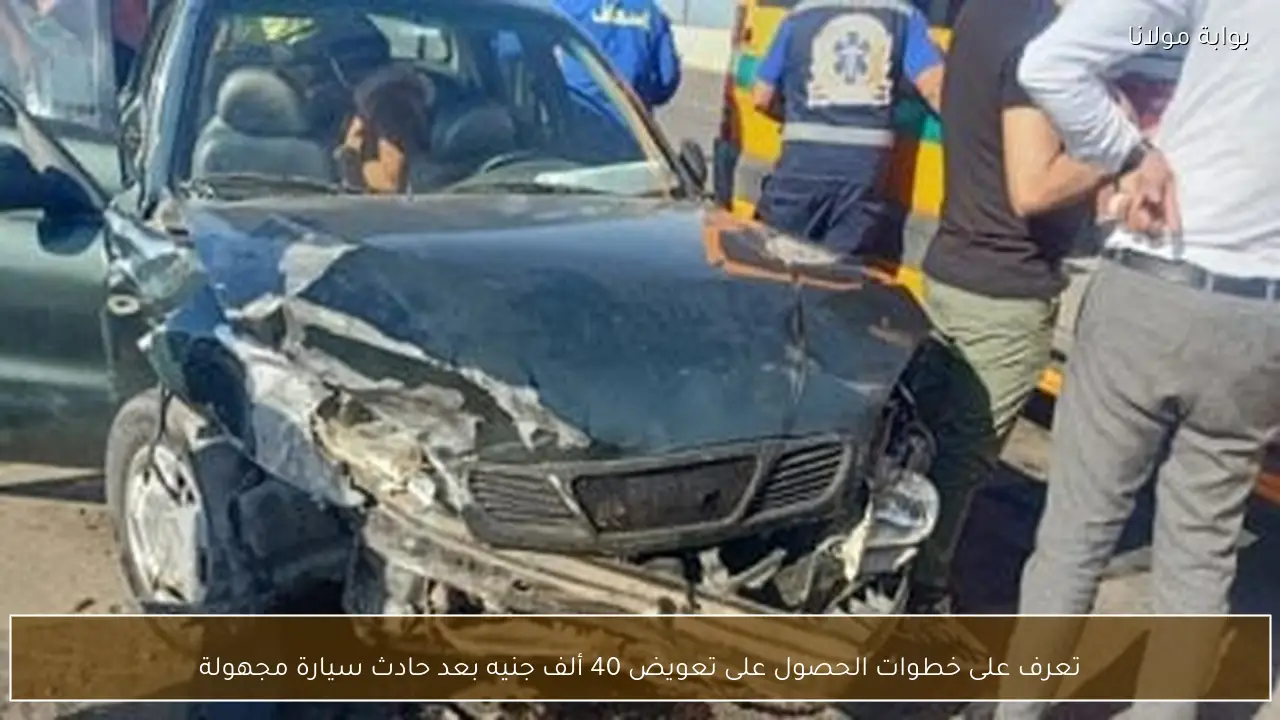تعرف على خطوات الحصول على تعويض 40 ألف جنيه بعد حادث سيارة مجهولة
