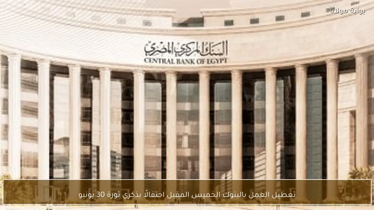 تعطيل العمل بالبنوك الخميس المقبل احتفالًا بذكرى ثورة 30 يونيو