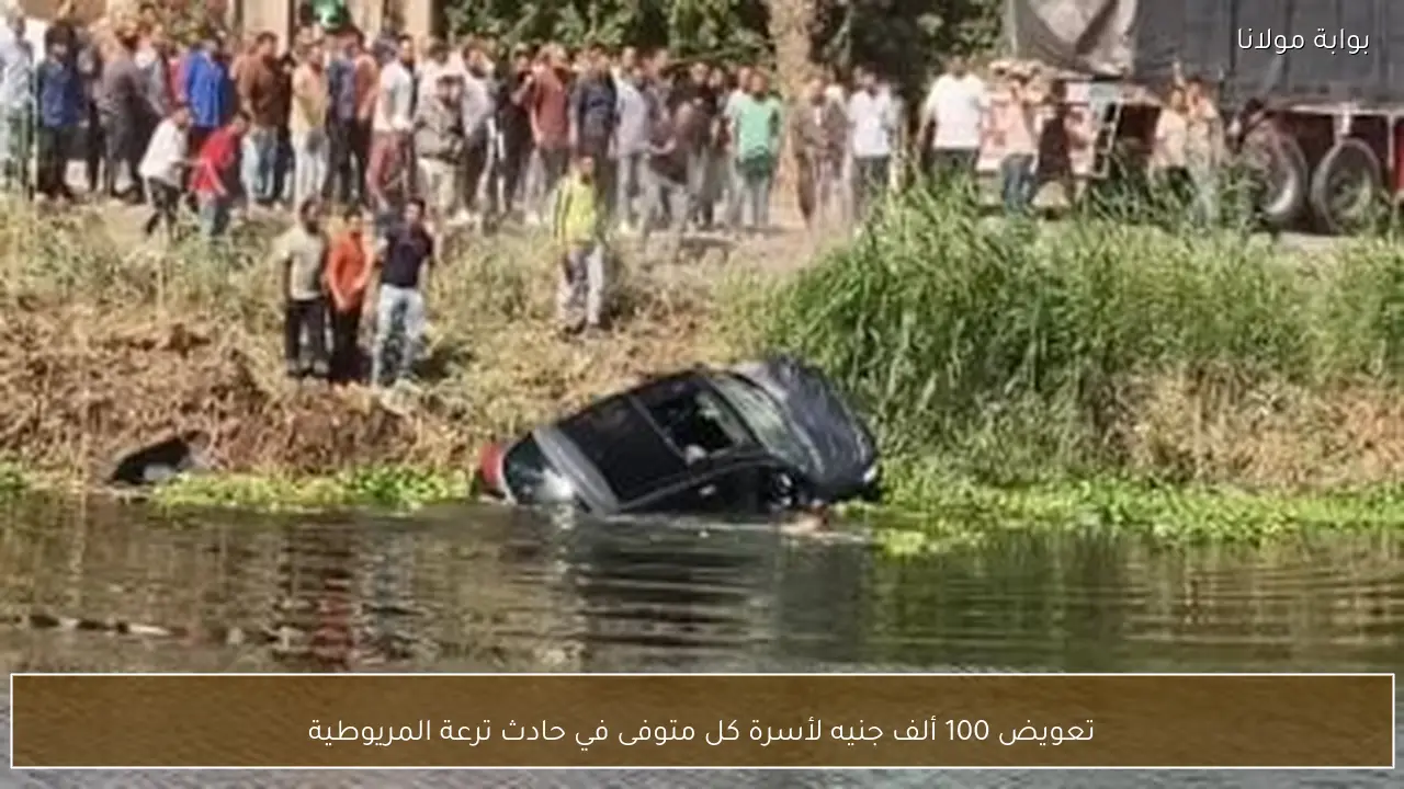 تعويض 100 ألف جنيه لأسرة كل متوفى في حادث ترعة المريوطية