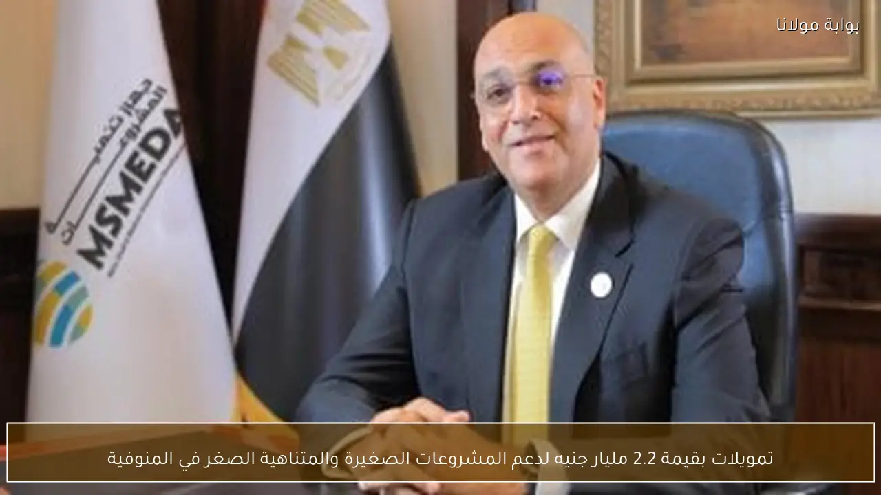 تمويلات بقيمة 2.2 مليار جنيه لدعم المشروعات الصغيرة والمتناهية الصغر في المنوفية