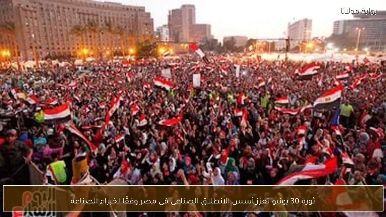 ثورة 30 يونيو تعزز أسس الانطلاق الصناعي في مصر وفقًا لخبراء الصناعة