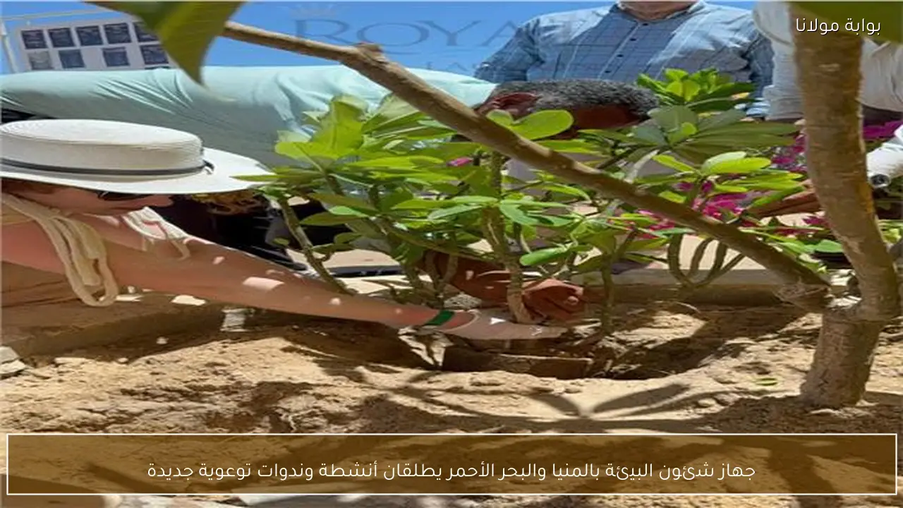 جهاز شئون البيئة بالمنيا والبحر الأحمر يطلقان أنشطة وندوات توعوية جديدة