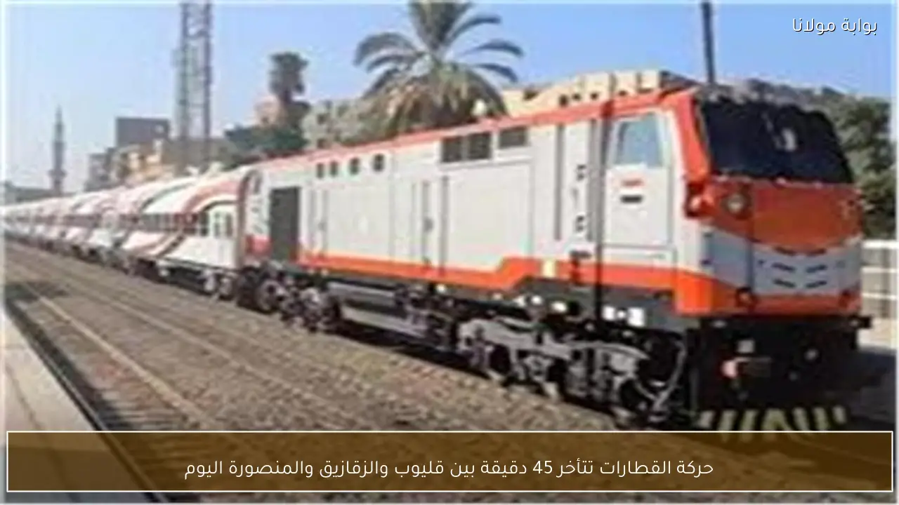 حركة القطارات تتأخر 45 دقيقة بين قليوب والزقازيق والمنصورة اليوم