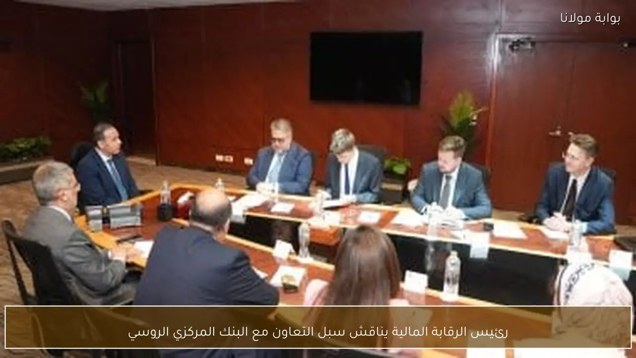 رئيس الرقابة المالية يناقش سبل التعاون مع البنك المركزي الروسي