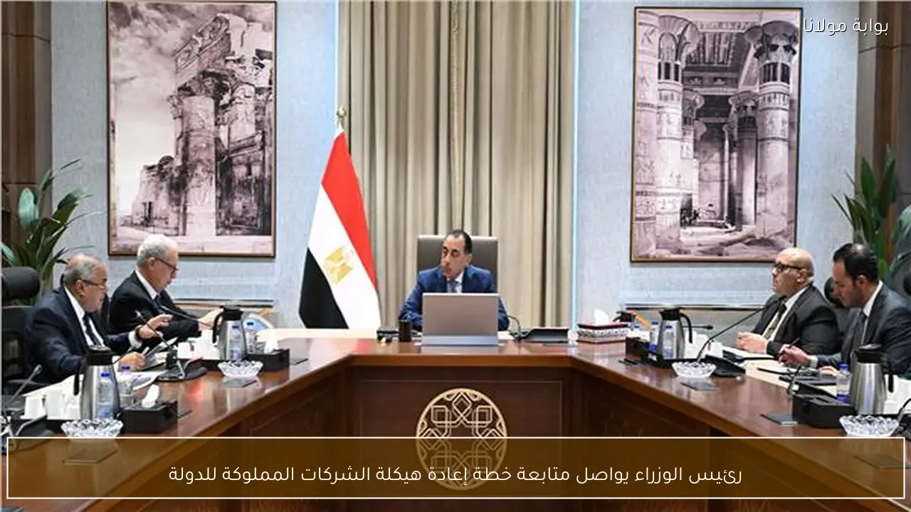 رئيس الوزراء يواصل متابعة خطة إعادة هيكلة الشركات المملوكة للدولة