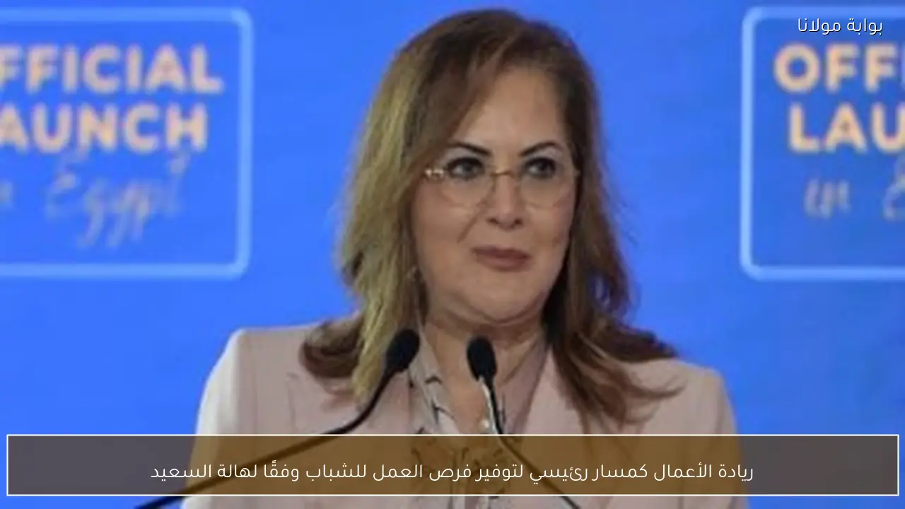 ريادة الأعمال كمسار رئيسي لتوفير فرص العمل للشباب وفقًا لهالة السعيد