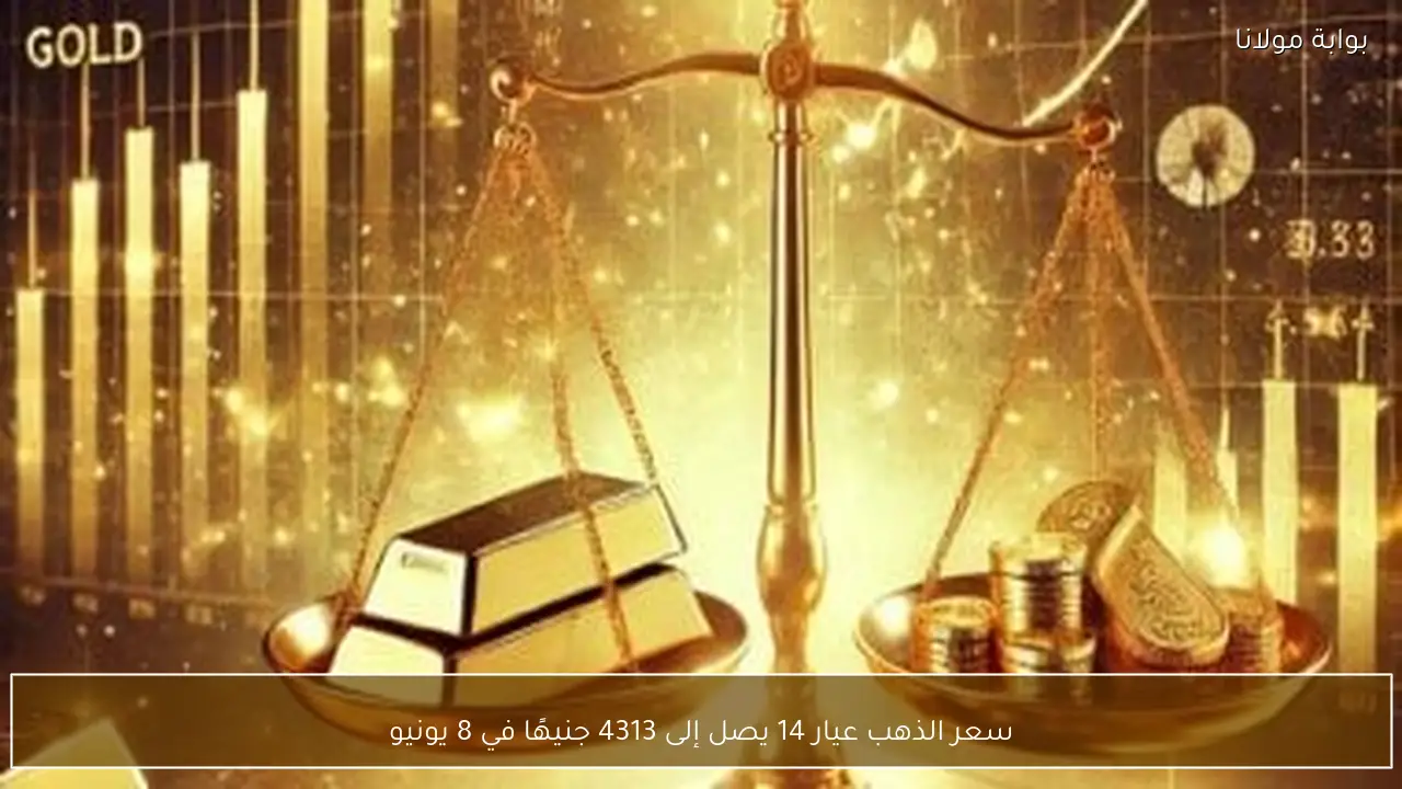 سعر الذهب عيار 14 يصل إلى 4313 جنيهًا في 8 يونيو