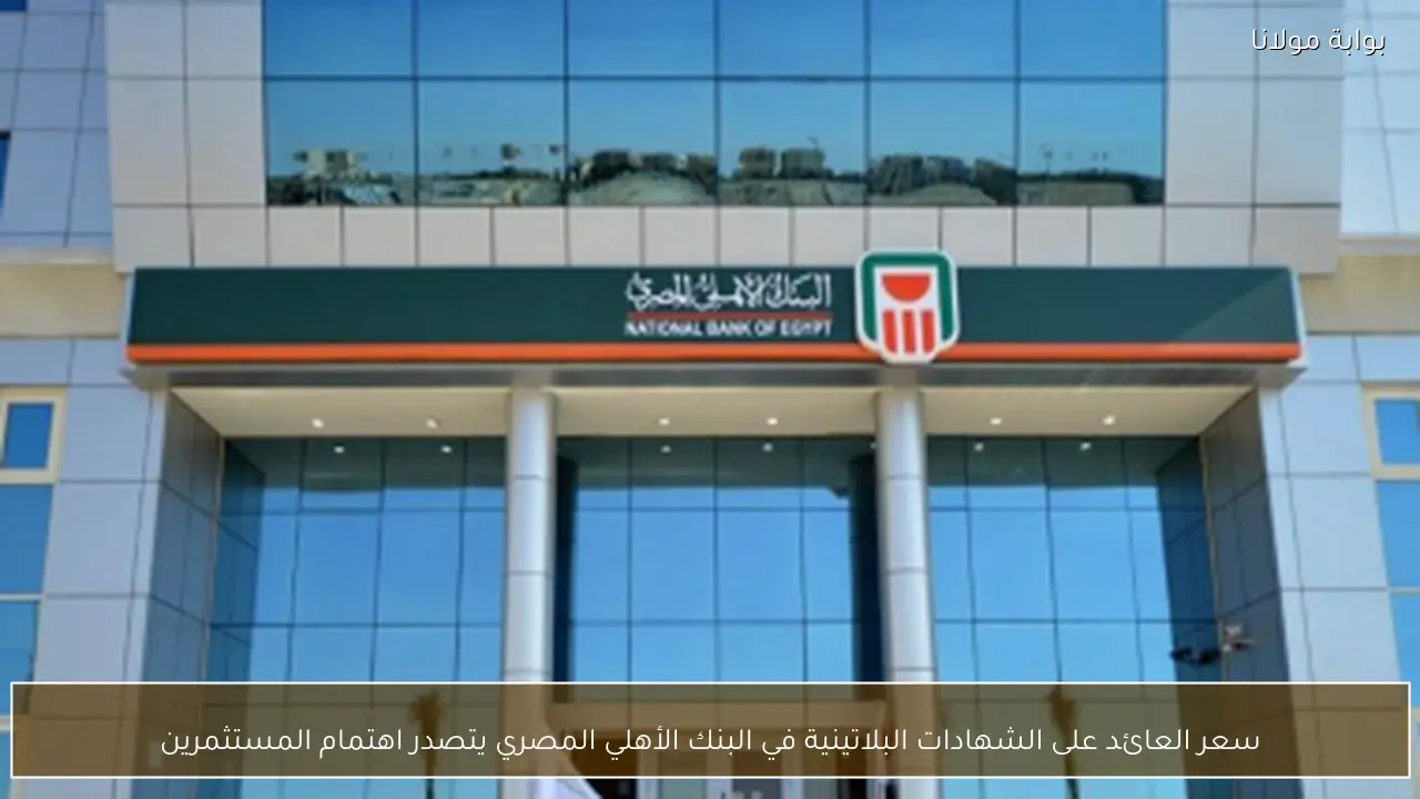 سعر العائد على الشهادات البلاتينية في البنك الأهلي المصري يتصدر اهتمام المستثمرين