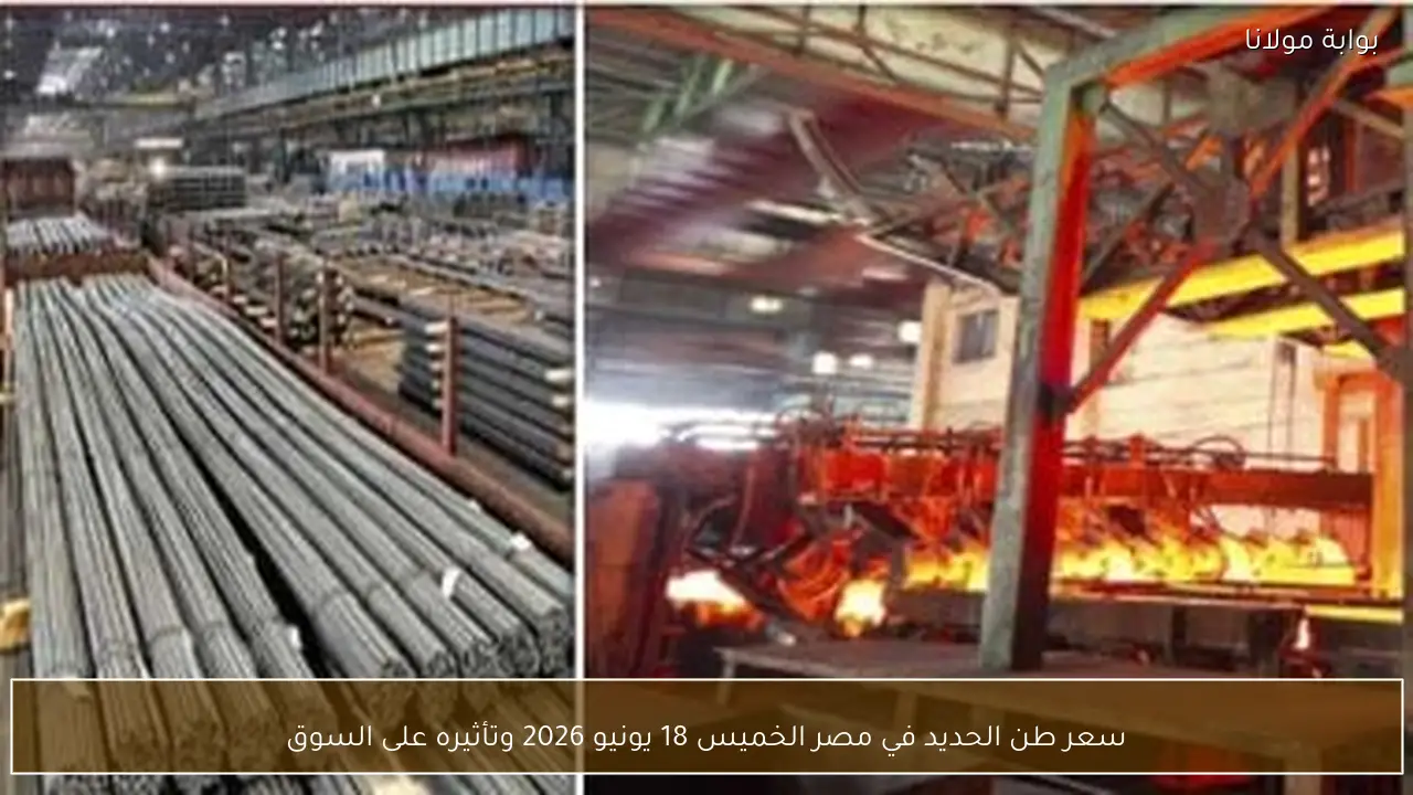 سعر طن الحديد في مصر الخميس 18 يونيو 2026 وتأثيره على السوق