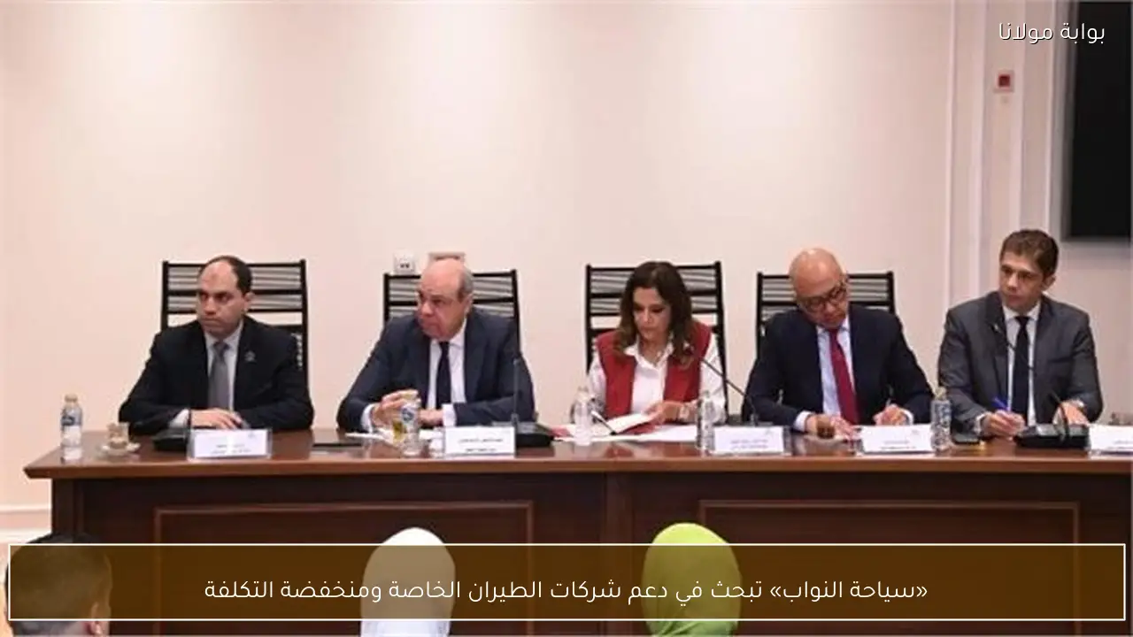 «سياحة النواب» تبحث في دعم شركات الطيران الخاصة ومنخفضة التكلفة